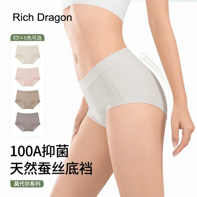 Rich Dragon 100A