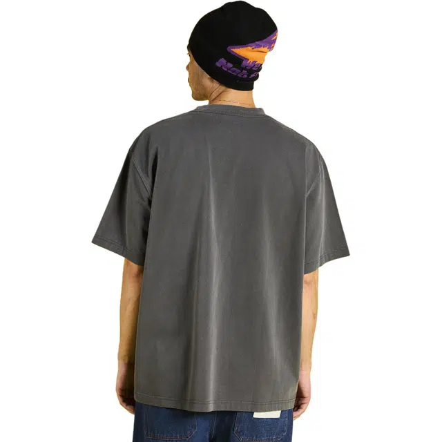 PLEASURES T