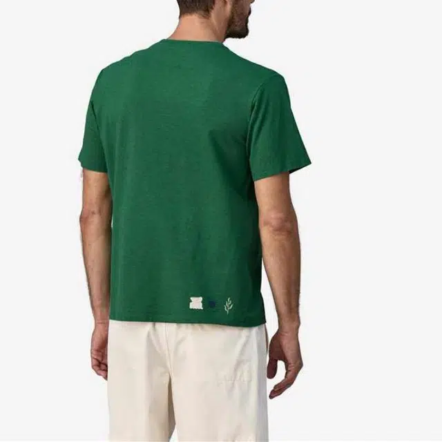 patagonia T
