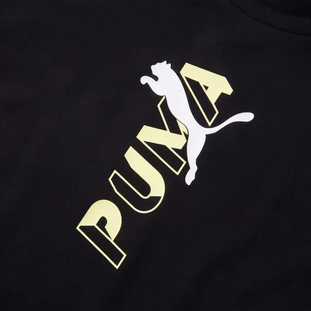 PUMA TMODERNSPORTSSWEATTEE logo T