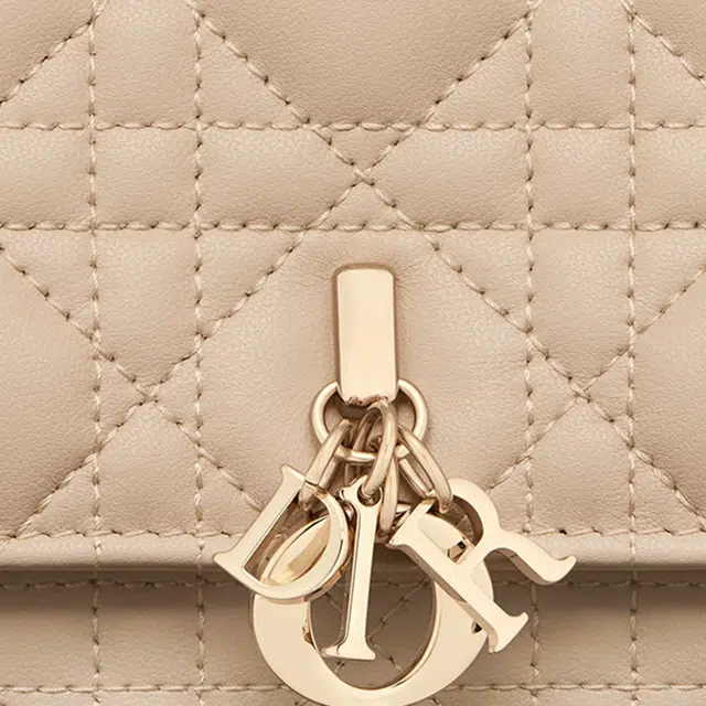 DIOR D.I.O.R.