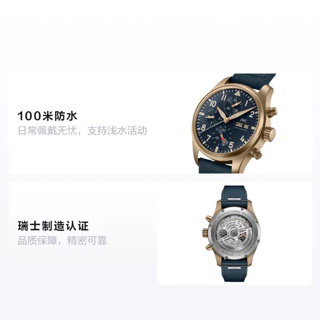 IWC 100 41mm IW388109