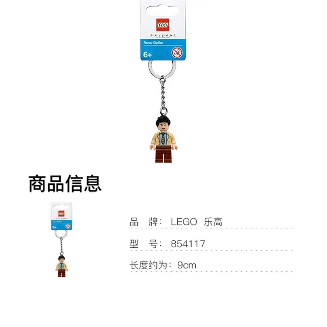 LEGO IDEAS Ross 854117