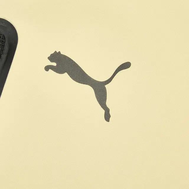 PUMA LOGO