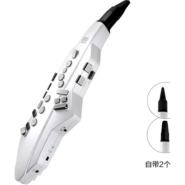 Roland AE05C" Aerophone