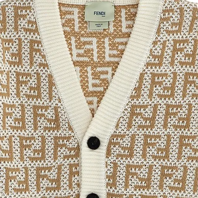 FENDI V