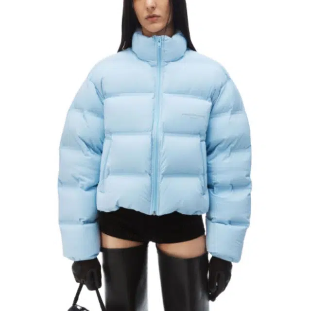 alexander wang FW24 logo