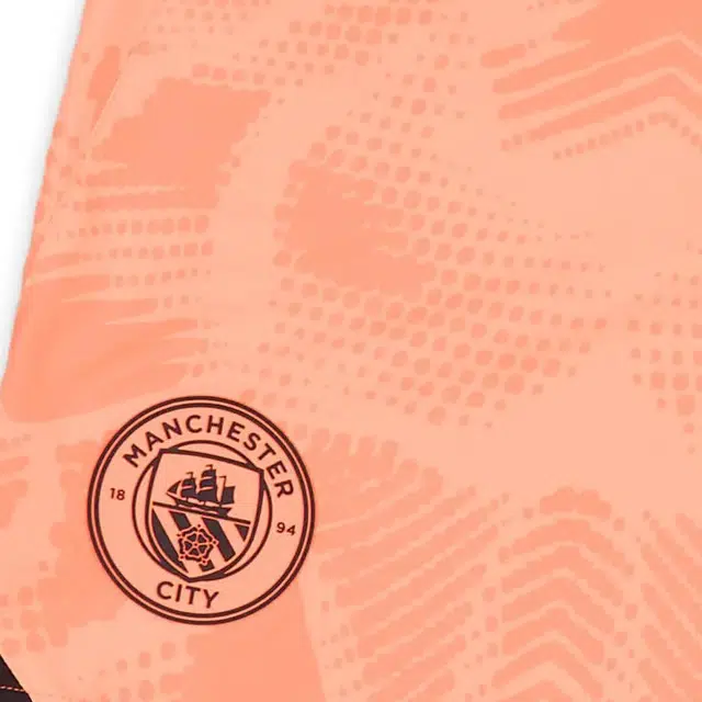 PUMA Manchester City 2024-25 GK