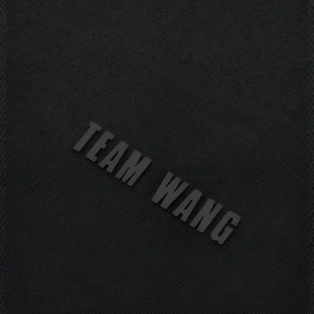 TEAM WANG Logo