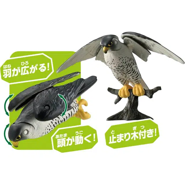 TAKARA TOMY