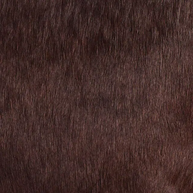 COS Folio