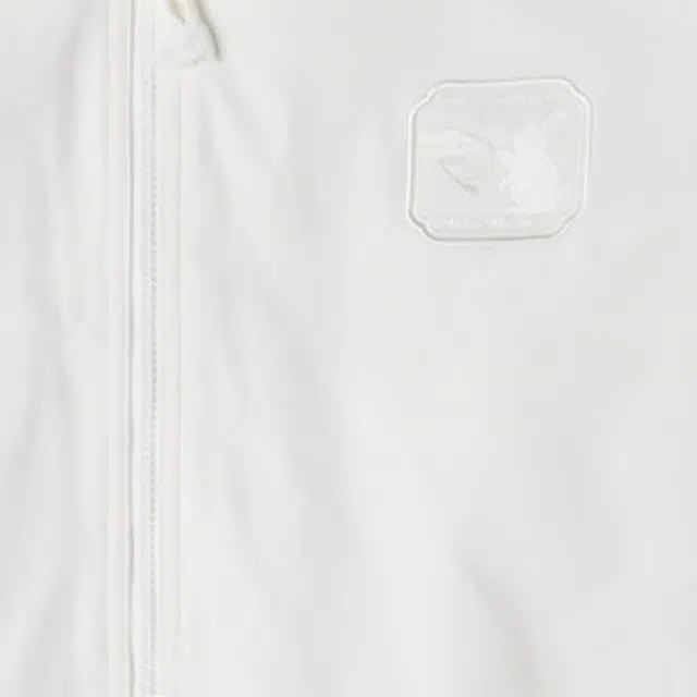 Converse Logo