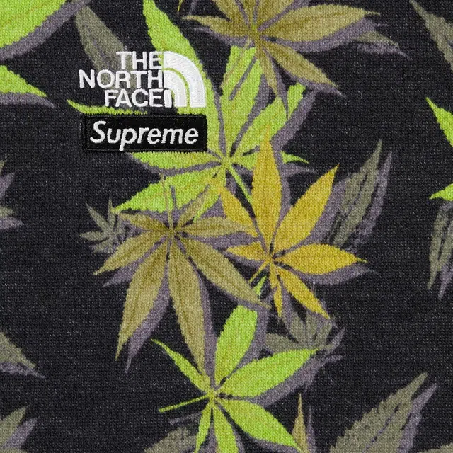 Supreme x THE NORTH FACE FW23 WEEK15