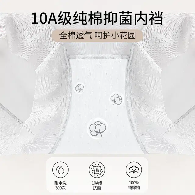 Rich Dragon 10A