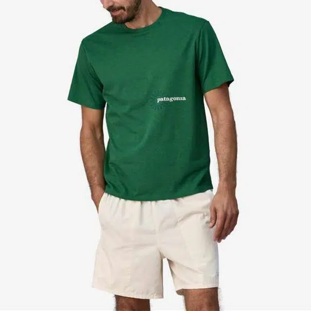 patagonia T