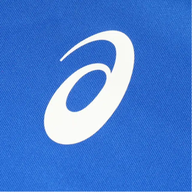 Asics SS25 logo