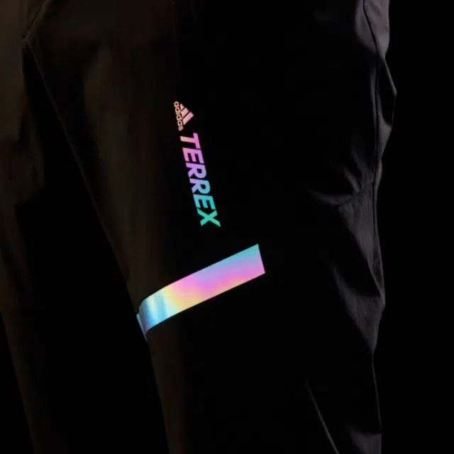 adidas Terrex Insp Ms Pants Logo