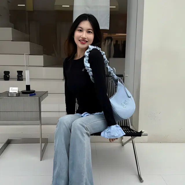 Lee Billow Cloud Bag ins