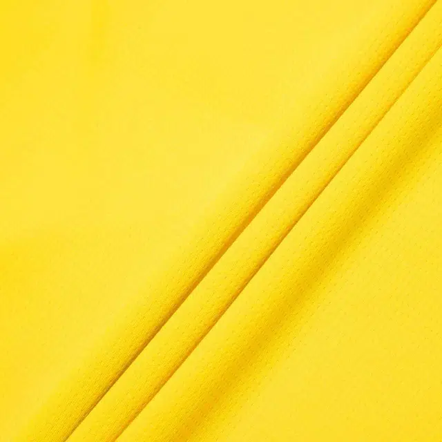 PUMA BVB 3RD REPLICA 202324 Logo