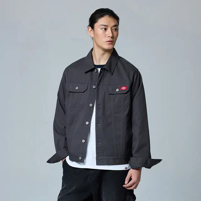 Dickies DK0A889P