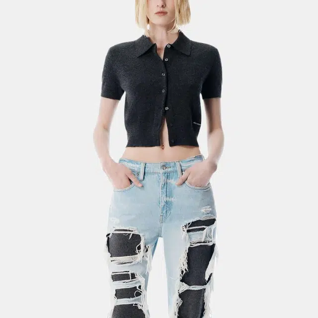 alexander wang FW25