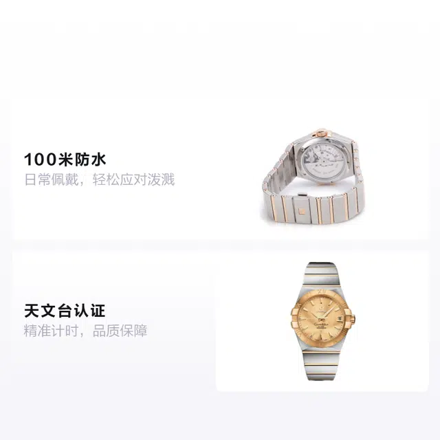 OMEGA 100 38mm 123.20.38.21.08.001