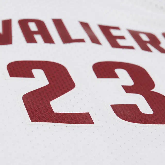 Mitchell Ness x NBA