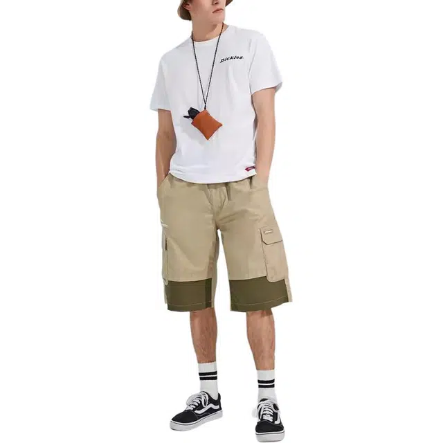 Dickies SS22 logoT