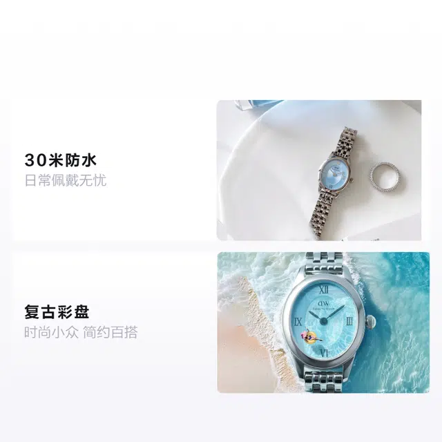 Daniel Wellington DW DW OPHELIA 25.5x22mm