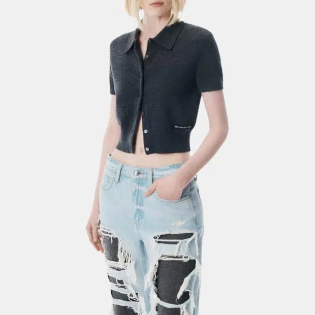 alexander wang FW25