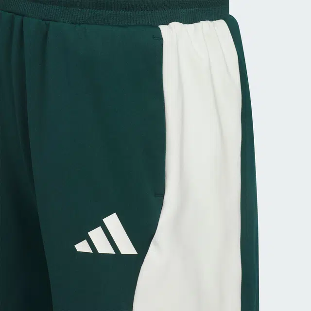 adidas Sportswear TRACK CLIMACOOL 2