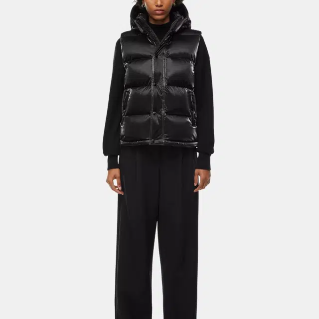 Aritzia Super Puff Liquid Shine