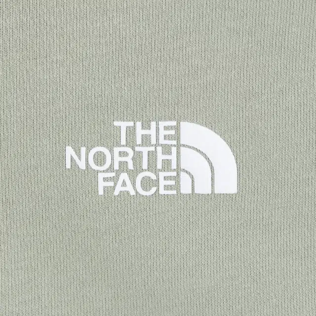 THE NORTH FACE Logo