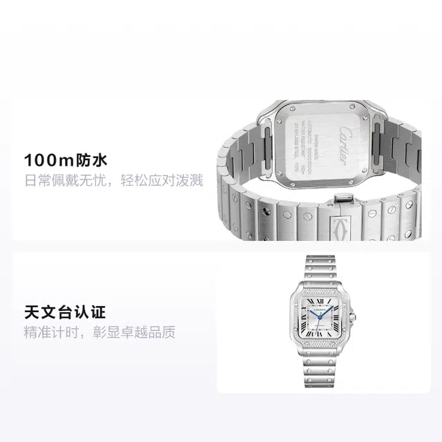 Cartier Santos W4SA0005