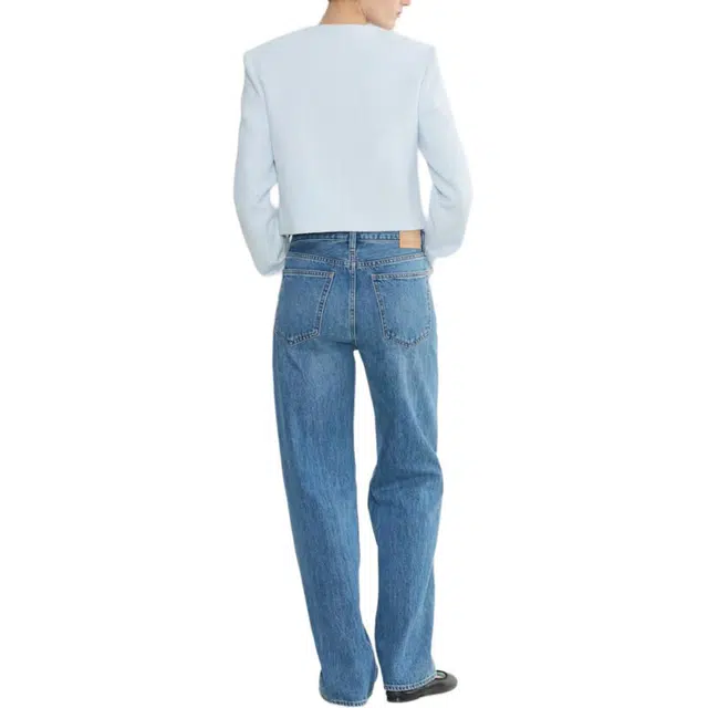 ARITZIA Babaton Anchor Jacket