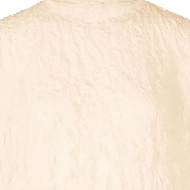 ISSEY MIYAKE T