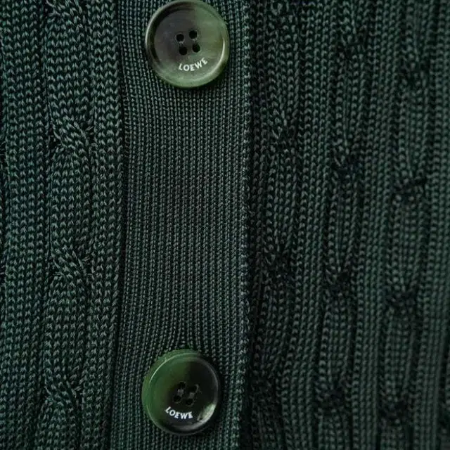 LOEWE FW25 V