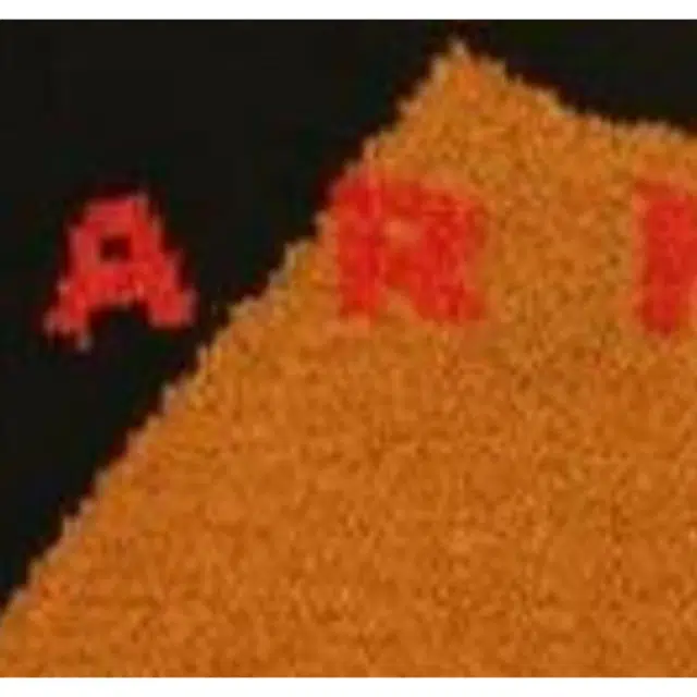 Carhartt WIP xMarni logo