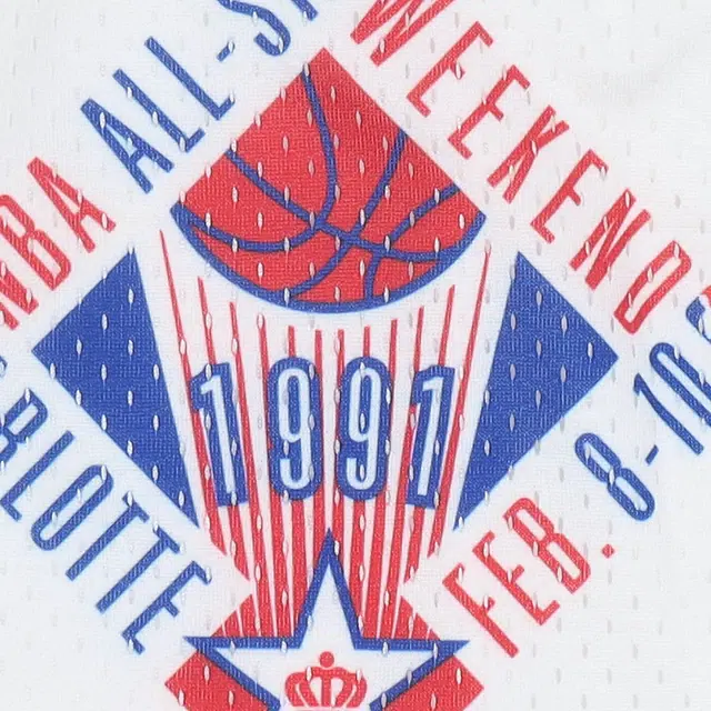 Mitchell Ness Swingman 1991