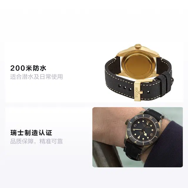 Tudor Black Bay M79250BA-0001