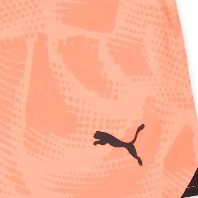 PUMA Manchester City 2024-25 GK