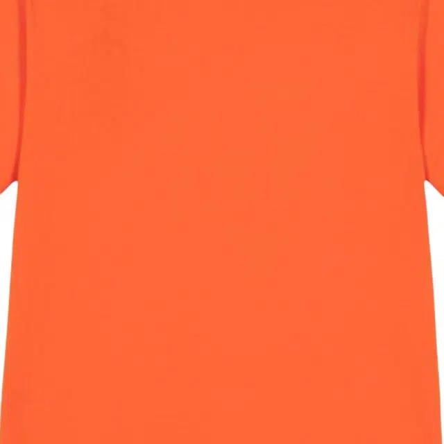 Polo Ralph Lauren T