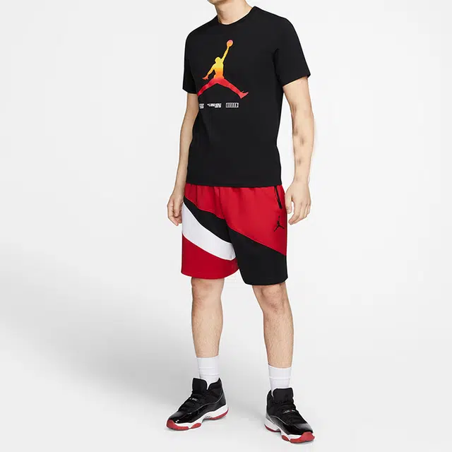 Jordan LEGACY AJ11 T