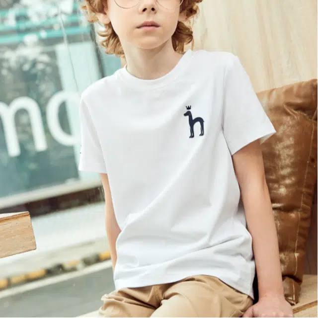 HAZZYS T