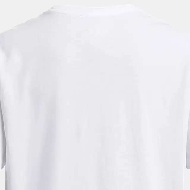 Under Armour T -100