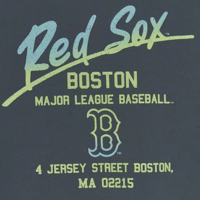 MLB KIDST