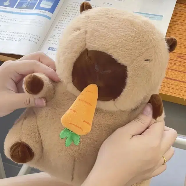 27cm