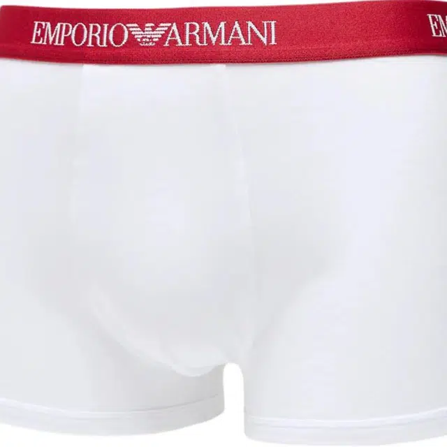 EMPORIO ARMANI Logo 3