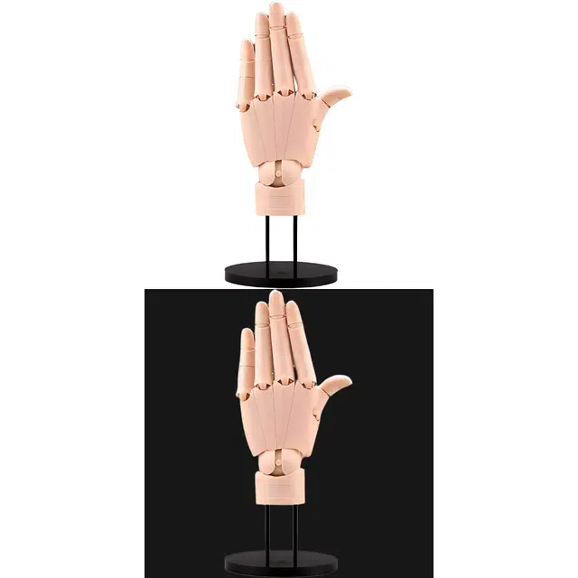 HAND MODEL 21cm