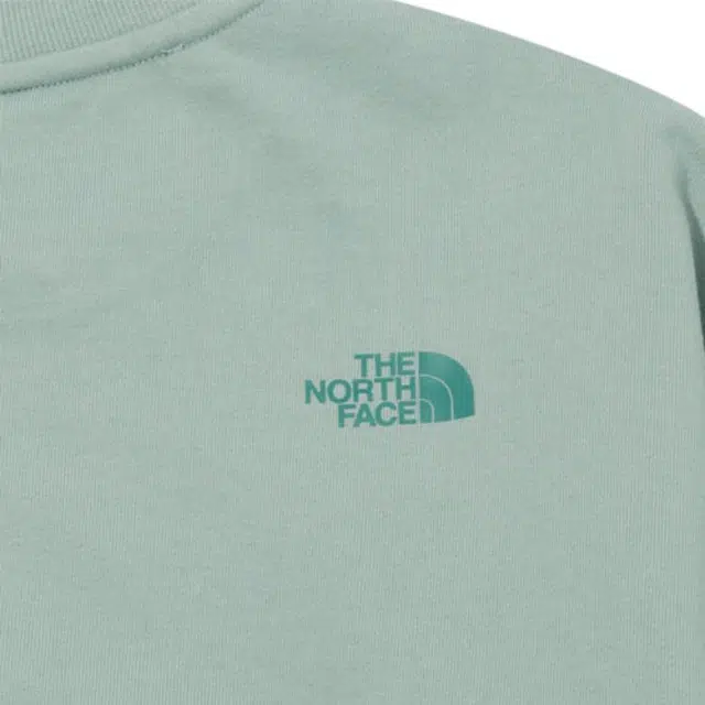 THE NORTH FACE Logo
